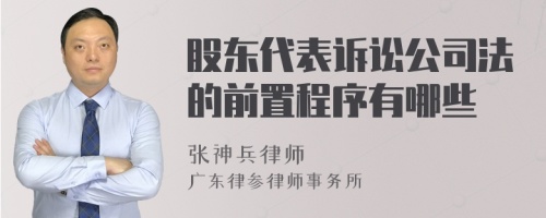 股东代表诉讼公司法的前置程序有哪些