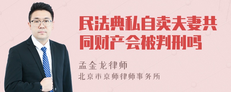 民法典私自卖夫妻共同财产会被判刑吗