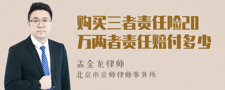 购买三者责任险20万两者责任赔付多少