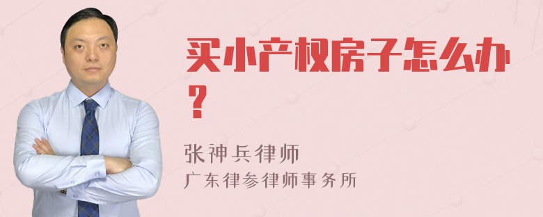 买小产权房子怎么办？