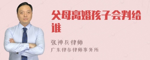 父母离婚孩子会判给谁