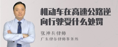 机动车在高速公路逆向行驶受什么处罚