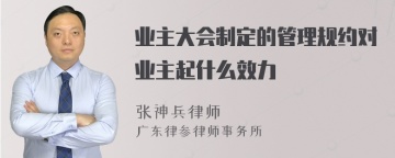 业主大会制定的管理规约对业主起什么效力