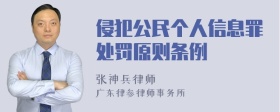 侵犯公民个人信息罪处罚原则条例