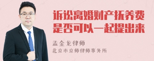 诉讼离婚财产抚养费是否可以一起提出来