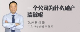 一个公司为什么破产清算呢