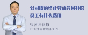 公司提前终止劳动合同补偿员工有什么费用