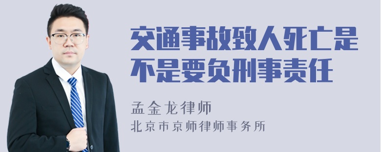 交通事故致人死亡是不是要负刑事责任