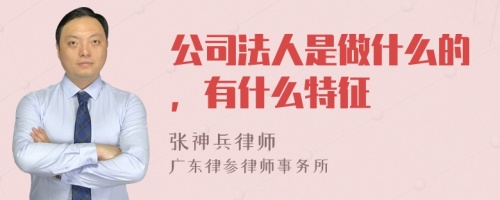 公司法人是做什么的，有什么特征