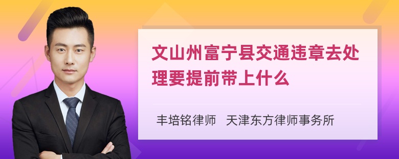 文山州富宁县交通违章去处理要提前带上什么