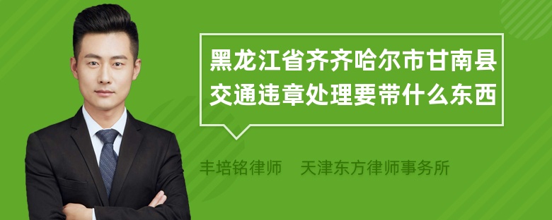 黑龙江省齐齐哈尔市甘南县交通违章处理要带什么东西