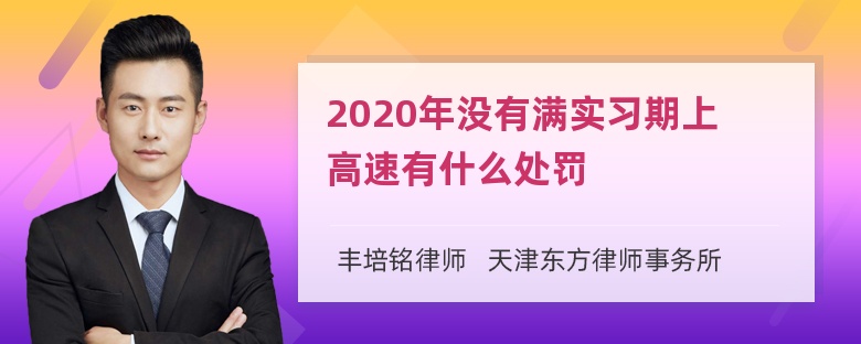 2020年没有满实习期上高速有什么处罚