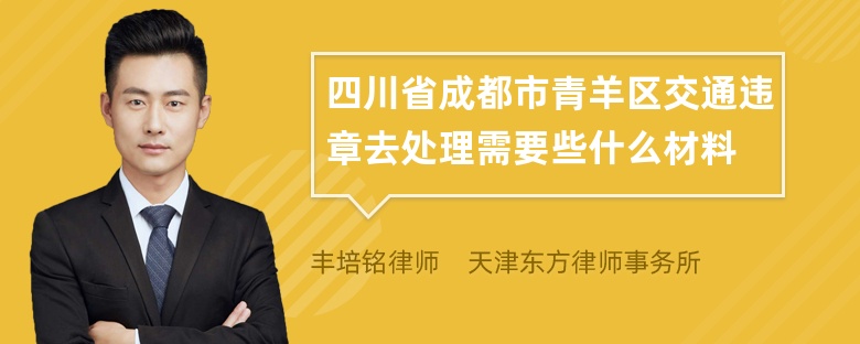 四川省成都市青羊区交通违章去处理需要些什么材料