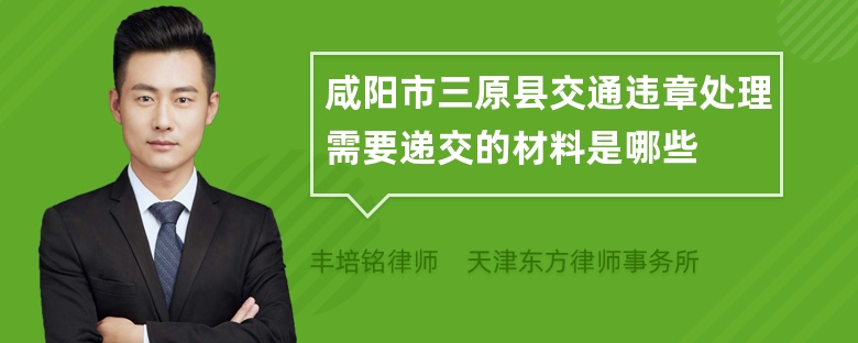 咸阳市三原县交通违章处理需要递交的材料是哪些