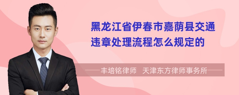 黑龙江省伊春市嘉荫县交通违章处理流程怎么规定的