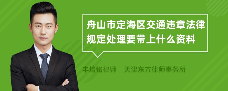 舟山市定海区交通违章法律规定处理要带上什么资料