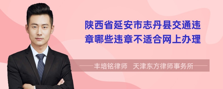 陕西省延安市志丹县交通违章哪些违章不适合网上办理