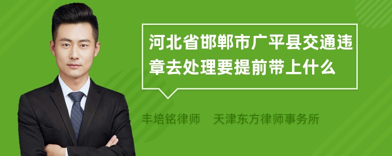 河北省邯郸市广平县交通违章去处理要提前带上什么