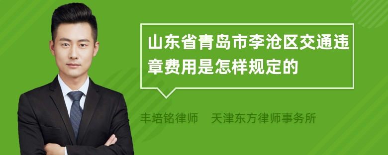 山东省青岛市李沧区交通违章费用是怎样规定的