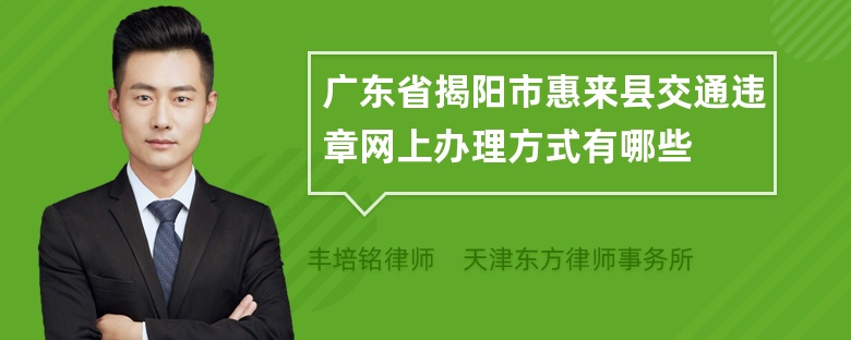 广东省揭阳市惠来县交通违章网上办理方式有哪些