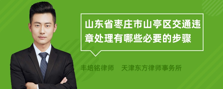 山东省枣庄市山亭区交通违章处理有哪些必要的步骤