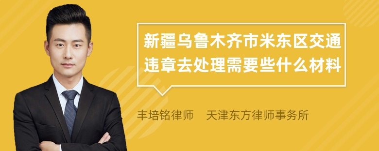 新疆乌鲁木齐市米东区交通违章去处理需要些什么材料