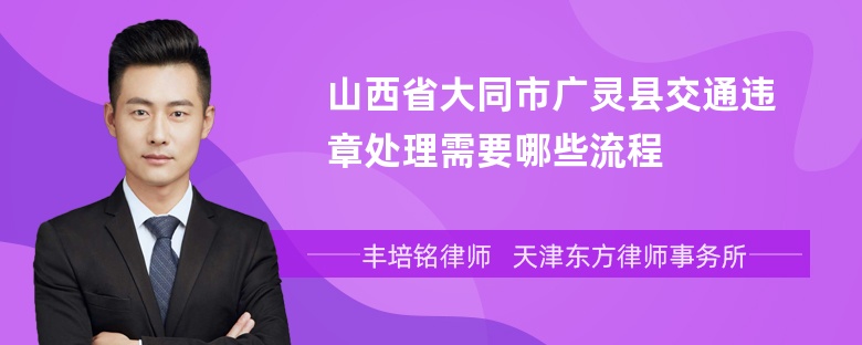 山西省大同市广灵县交通违章处理需要哪些流程