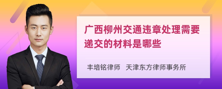 广西柳州交通违章处理需要递交的材料是哪些