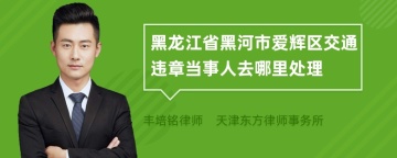 黑龙江省黑河市爱辉区交通违章当事人去哪里处理