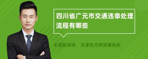 四川省广元市交通违章处理流程有哪些