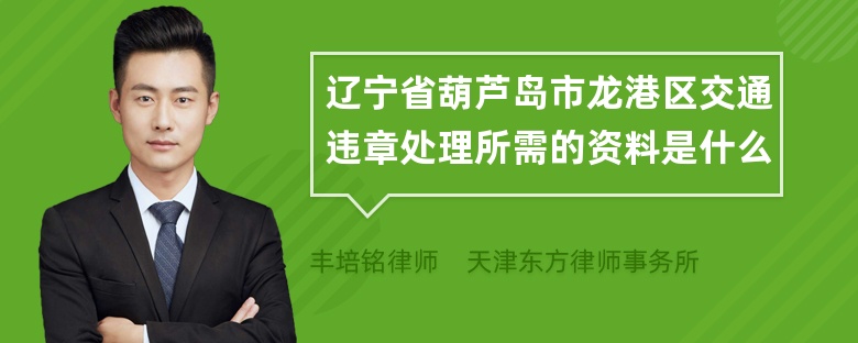 辽宁省葫芦岛市龙港区交通违章处理所需的资料是什么