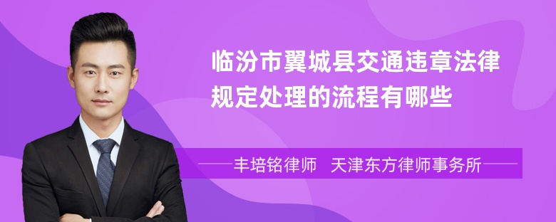 临汾市翼城县交通违章法律规定处理的流程有哪些