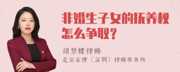 非婚生子女的抚养权怎么争取？