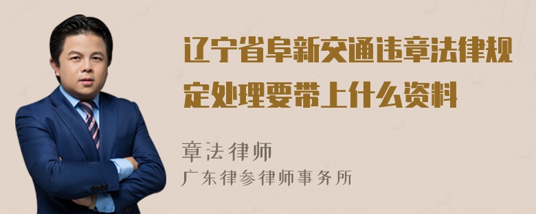 辽宁省阜新交通违章法律规定处理要带上什么资料