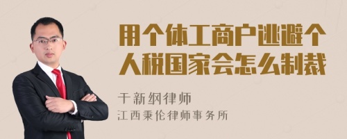 用个体工商户逃避个人税国家会怎么制裁