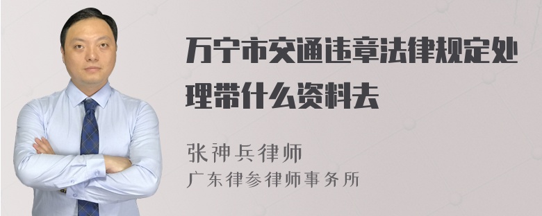 万宁市交通违章法律规定处理带什么资料去