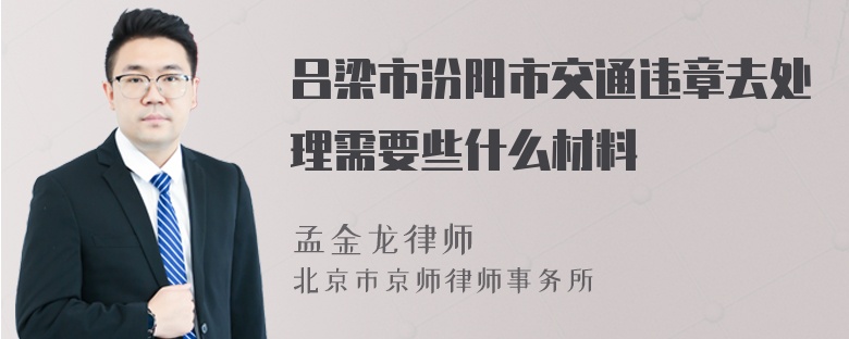 吕梁市汾阳市交通违章去处理需要些什么材料