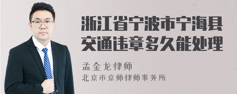 浙江省宁波市宁海县交通违章多久能处理