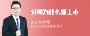 公司为什么要上市