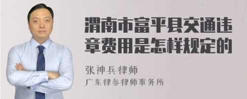 渭南市富平县交通违章费用是怎样规定的