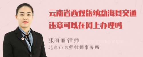 云南省西双版纳勐海县交通违章可以在网上办理吗