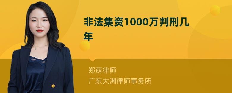 非法集资1000万判刑几年