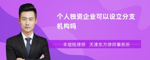 个人独资企业可以设立分支机构吗