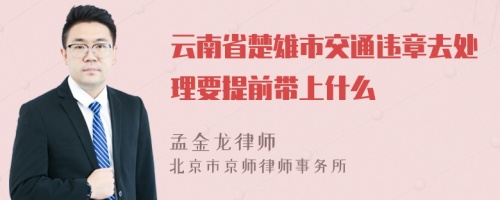 云南省楚雄市交通违章去处理要提前带上什么