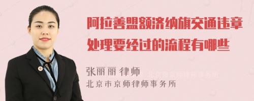 阿拉善盟额济纳旗交通违章处理要经过的流程有哪些