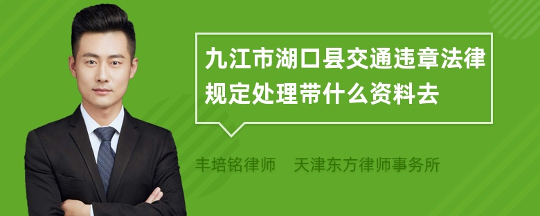 九江市湖口县交通违章法律规定处理带什么资料去