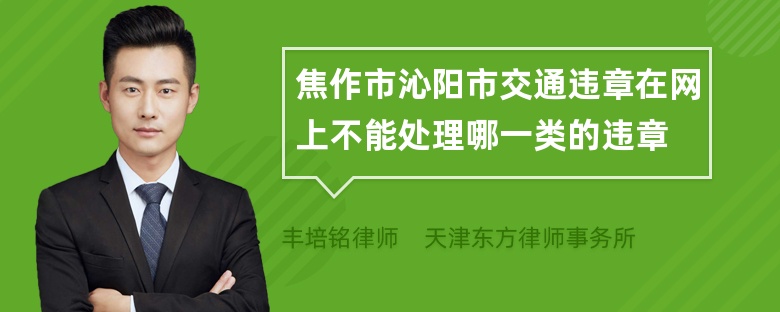 焦作市沁阳市交通违章在网上不能处理哪一类的违章