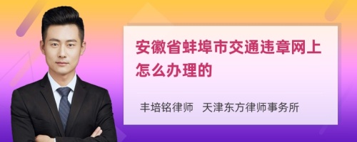 安徽省蚌埠市交通违章网上怎么办理的