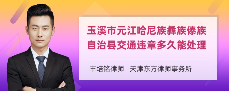 玉溪市元江哈尼族彝族傣族自治县交通违章多久能处理