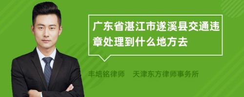 广东省湛江市遂溪县交通违章处理到什么地方去